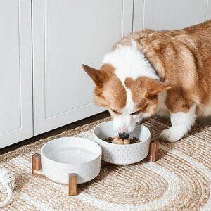 Dog Bowl Set with Acacia Wood Stand